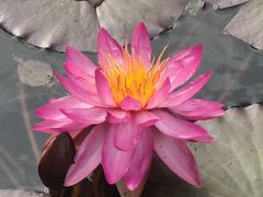-云溪植物园