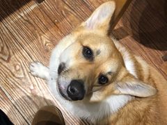 -阿木舂记·特色小吃(平江路店)