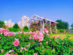 -太阳宫公园
