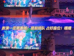-海合安武汉极地海洋公园
