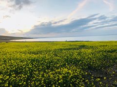 -青海湖国家重点风景名胜区