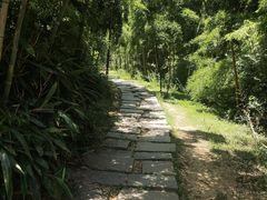 -宝界山林公园