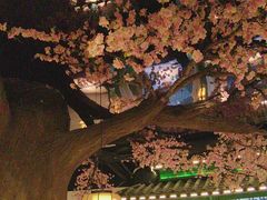 -荷塘秋月·本帮江浙菜(国权路店)