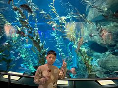 -瑞普利水族馆