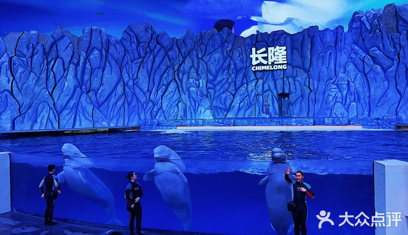 🐳长隆海洋王国的正确解锁方式