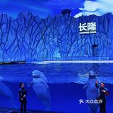 🐳长隆海洋王国的正确解锁方式