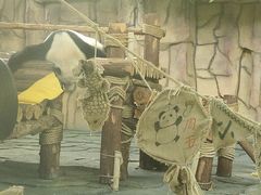 -泉州海丝野生动物世界