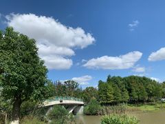 -上海长兴岛郊野公园