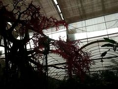 -刘和名田生态园