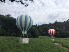 -大塘金香草谷