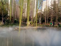 湖-苏州河梦清园环保主题公园