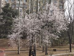 -元大都城垣遗址公园