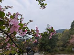 -富乐山