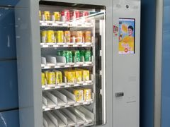 -大龙山(地铁站)