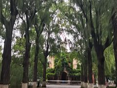 -哈尔滨文化公园