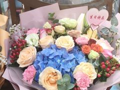-云中小雅