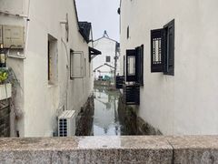 -沈记青团