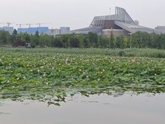 -保定东湖公园(莲池区)