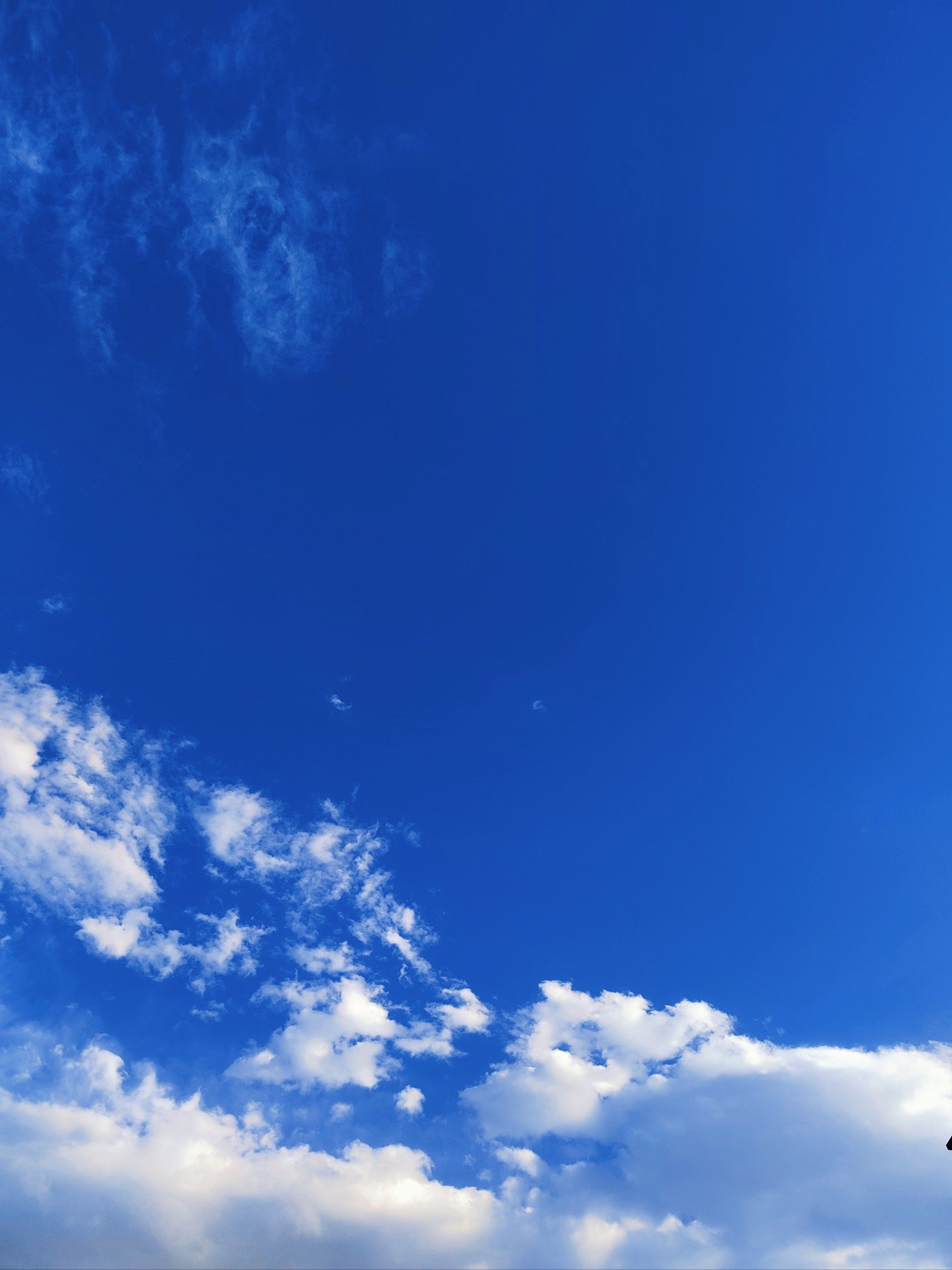 眼前的风景太美了