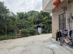 -香竹农庄•传统竹筒饭(十年店)