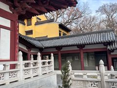 -灵谷景区