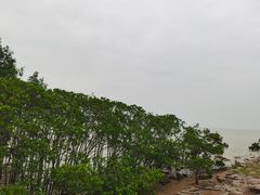 -深圳湾公园(南山区)