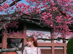 -醍醐寺
