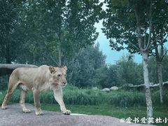-北京野生动物园