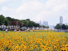 -海心沙亚运公园