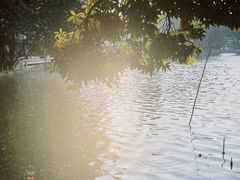 -荔湾湖公园