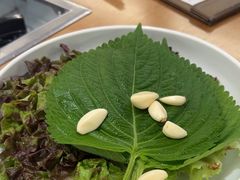 -黄金牧场(明洞总店)