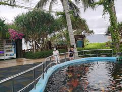 -三亚亚龙湾天域度假酒店