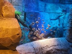 -沈阳海洋探索中心