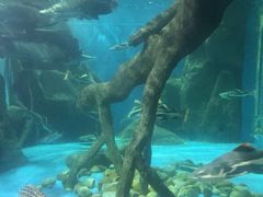 -多彩贵州城极地海洋世界