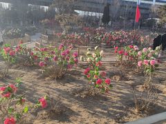 -太原动物园