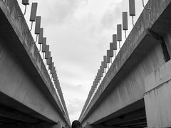 -中国天府农业博览园