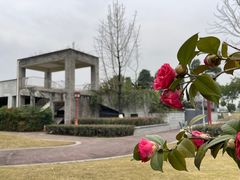 -眉山湿地公园(东坡区)