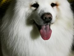 -沐沐家宠物(成寿寺店)