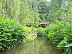 -重庆彩云湖湿地公园