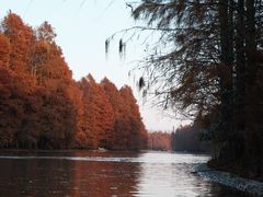 -上海海湾国家森林公园