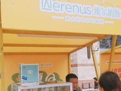 -维尔纳斯·生日蛋糕动物奶油冰淇淋蛋糕(人大店)