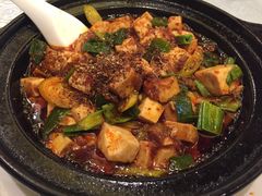 -陈麻婆豆腐总店