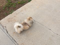 -圣露庄园·露营·烤肉·亲子