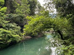 -石台牯牛降景区