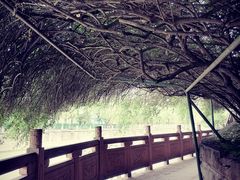 -成都市活水公园