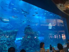 -迪拜水族馆及水下动物园