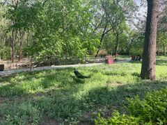 -北京麋鹿生态实验中心