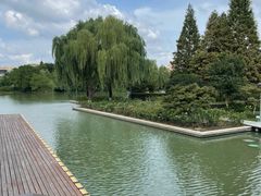-青枫公园