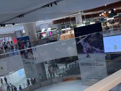 -TheRink大零溜冰场(IFS国金中心店)