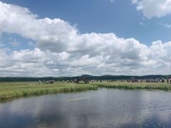 -塞罕坝国家级自然保护区